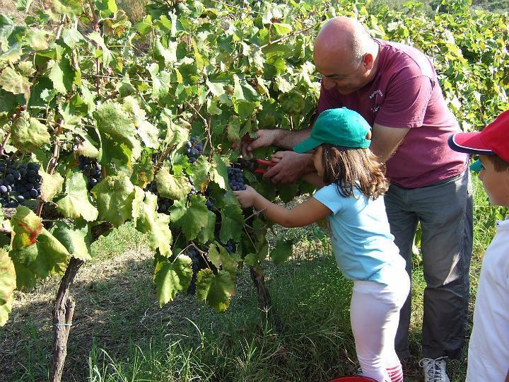 Agriturismo Parra Santa Lucia del Mela Buitenkant foto